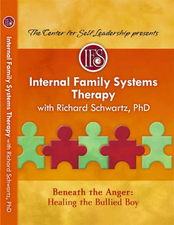 Cover image of Internal Family Systems Therapy Beneath the Anger: Healing the bullied boy